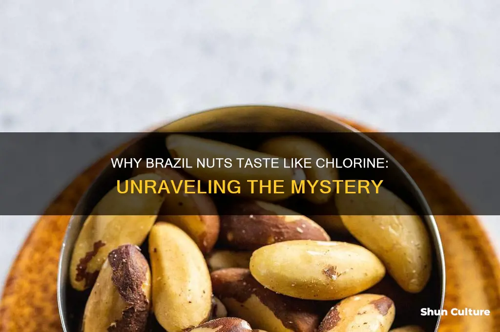why do brazil nuts taste like chlorine