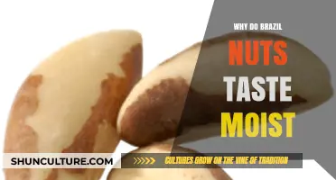 Why Brazil Nuts Taste Moist: Uncovering Their Unique Texture