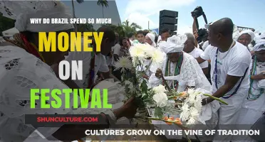 Brazil's Festival Spending: Cultural Investment or Economic Excess?