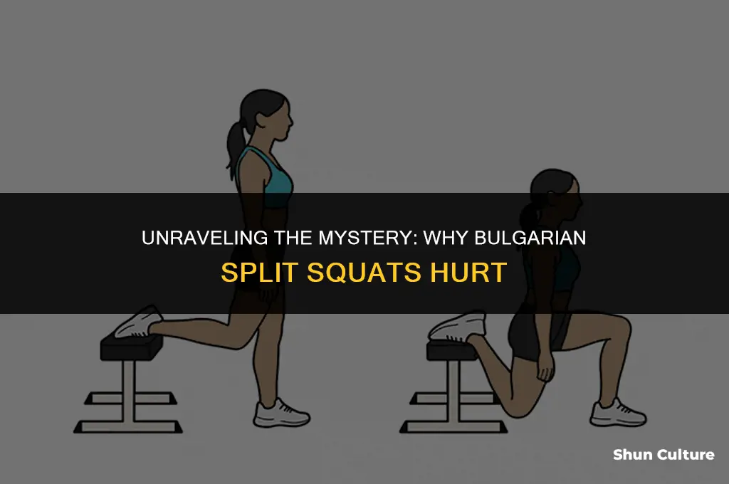 why do bulgarian split squats hurt