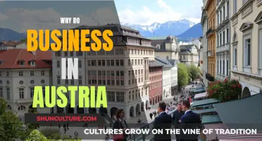 Austria: A Business Haven for Global Enterprises