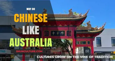Why Chinese Love Australia: Exploring Cultural, Economic, and Lifestyle Attractions