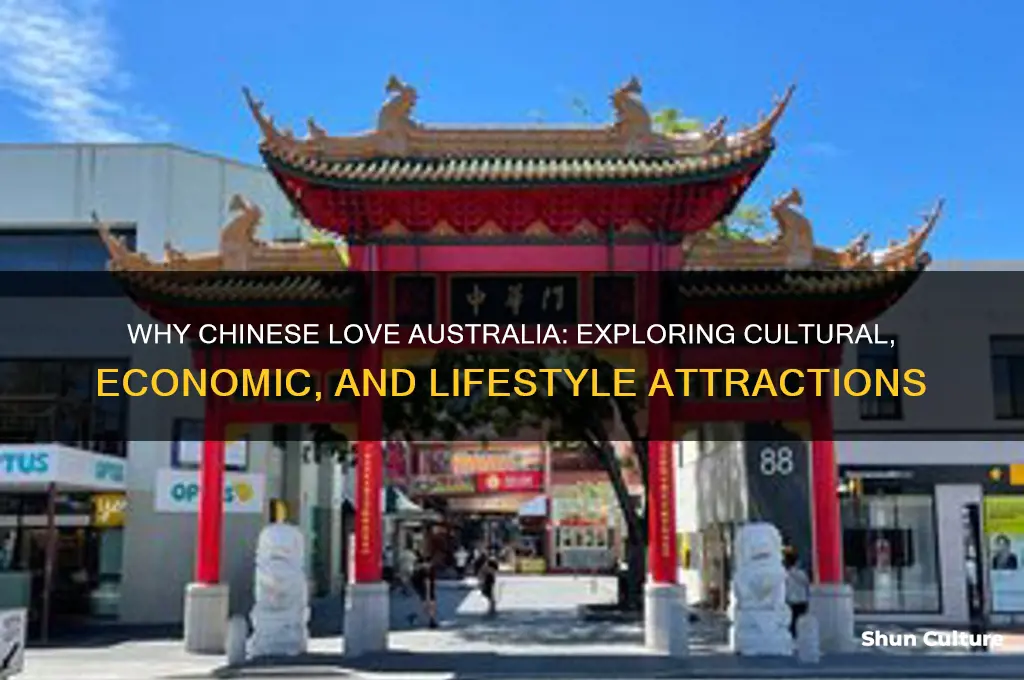 why do chinese like australia
