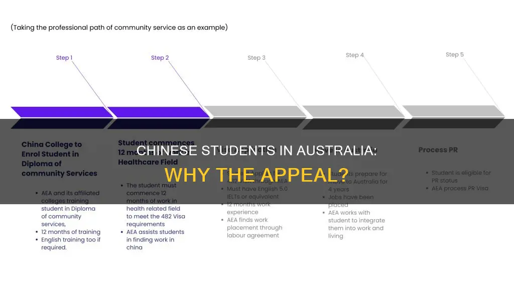why do chinese people study in australia