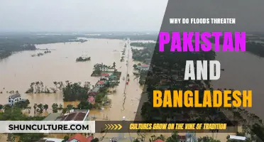 Floods in South Asia: Why Pakistan and Bangladesh Are Vulnerable