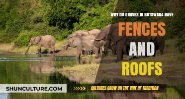 Botswana's Unique Grave Fences and Roofs: Cultural Significance Explained