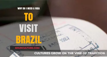 Understanding Brazil's Visa Requirements: Why You Need One to Visit