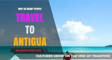 Discover Antigua's Allure: Why Travelers Flock to This Caribbean Gem
