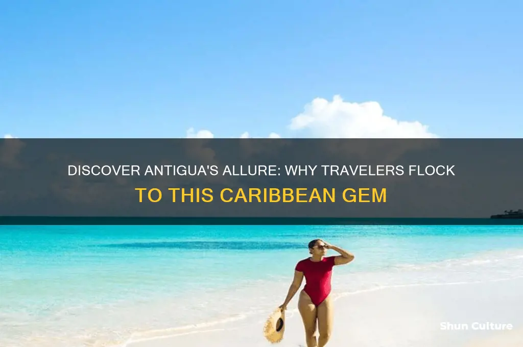 why do many people travel to antigua