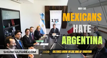 Exploring the Complex Relationship Between Mexico and Argentina
