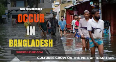Understanding Bangladesh's Monsoon Season: Causes and Impact Explained