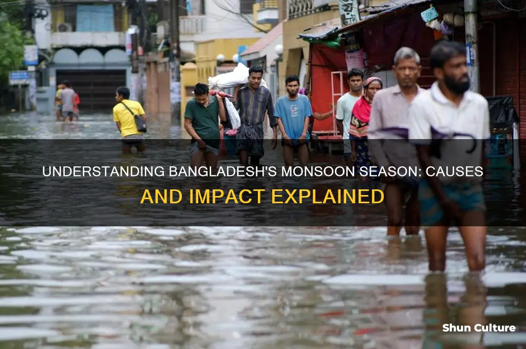 why do monsoons occur in bangladesh