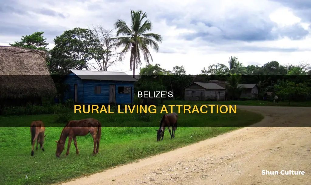 why do most people in belize live in rural parts