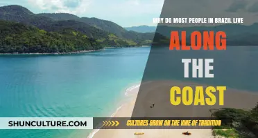 Brazil's Coastal Magnet: Why Most Brazilians Choose Coastal Living