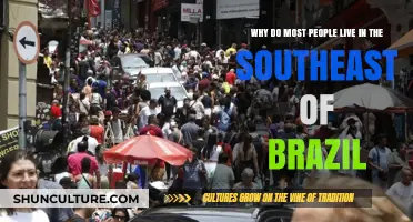 Why Brazil's Southeast Attracts the Majority of Its Population