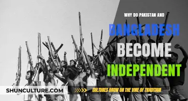 The Struggle for Sovereignty: Pakistan and Bangladesh's Paths to Independence