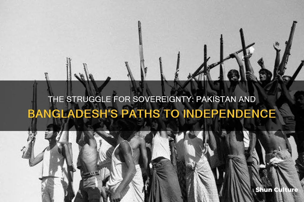 why do pakistan and bangladesh become independent