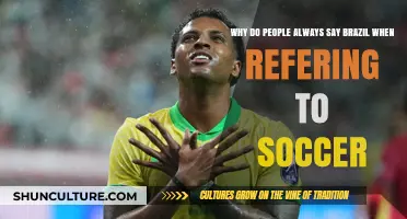 Brazil and Soccer: Why the Country Dominates Global Football Conversations