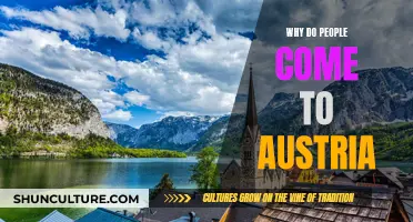 Exploring Austria: Unveiling the Country's Unique Allure