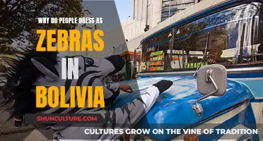 Zebras in Bolivia: The Unique Cultural Dress Code