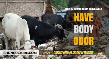 Exploring Cultural Factors Behind Body Odor in Bangladeshis