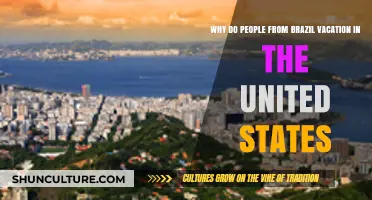 Exploring the Allure: Why Brazilians Choose US Vacations