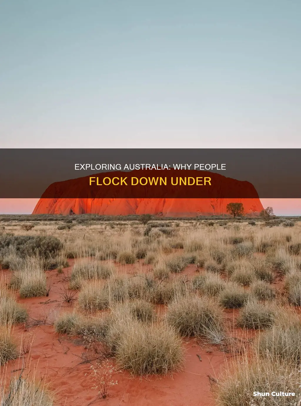 why do people go to australia