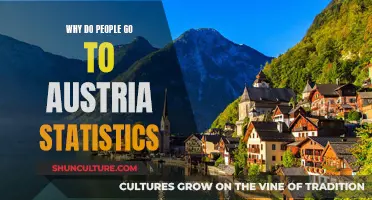Exploring Austria's Tourism Appeal Through Statistics