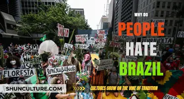 Unraveling the Complex Reasons Behind Brazil's Global Criticism