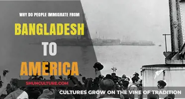 Exploring the Reasons Behind Bangladeshi Immigration to the United States
