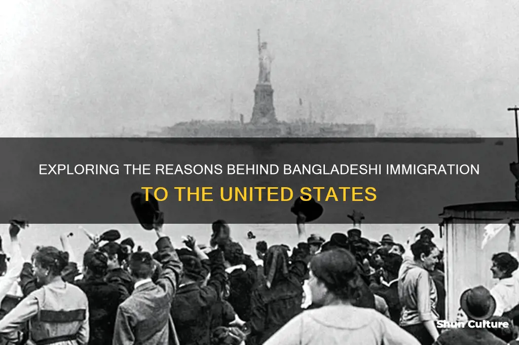 why do people immigrate from bangladesh to america