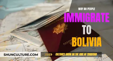 Exploring Bolivia's Immigration Pull Factors