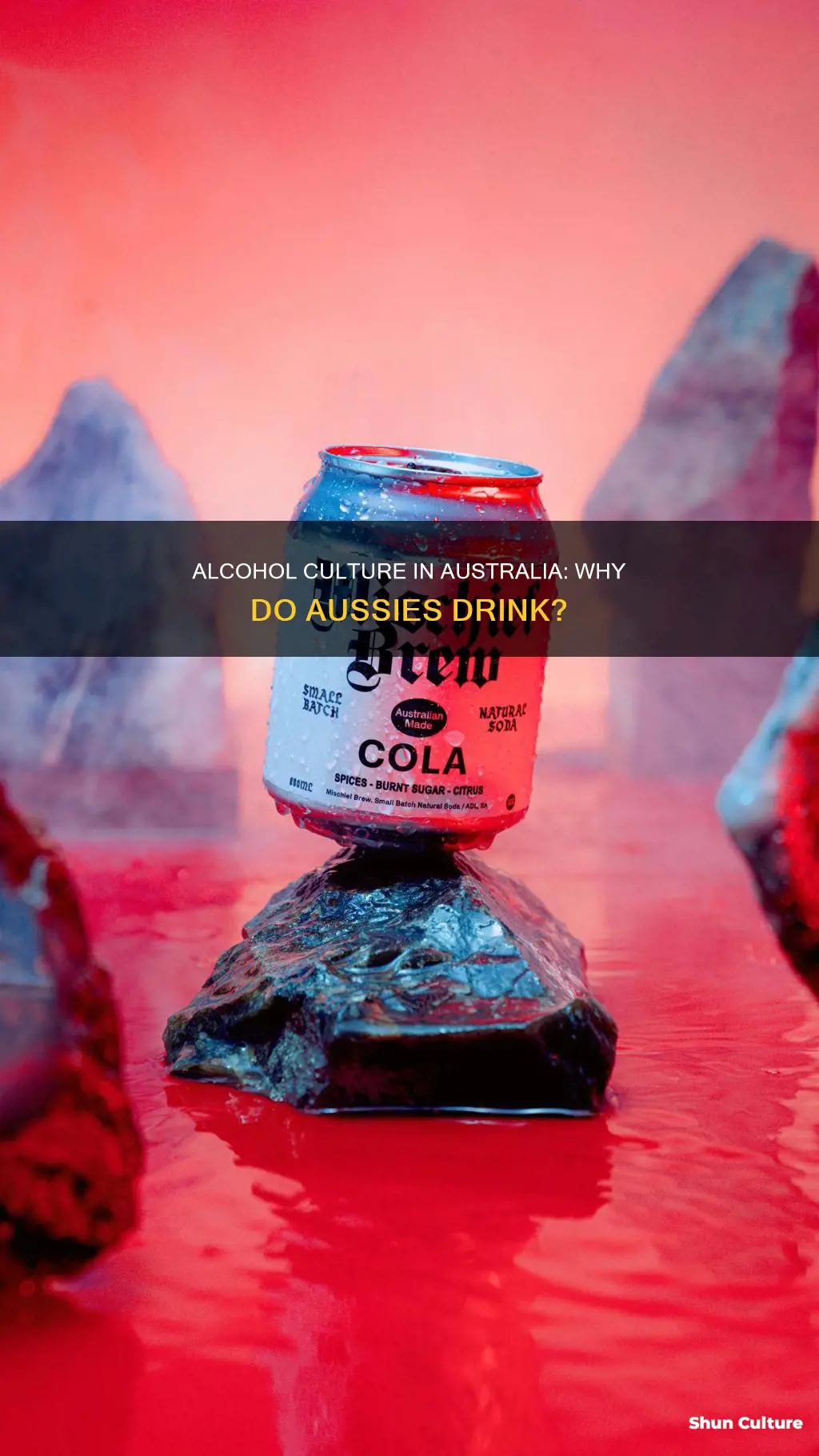 why do people in australia drink