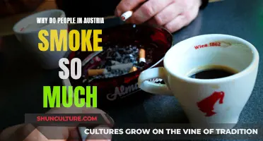 Austria's Smoking Culture: Exploring the Country's High Smoking Rates