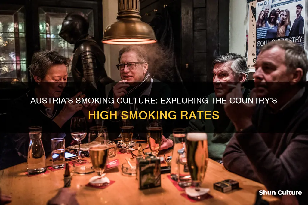 why do people in austria smoke so much