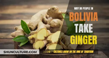 Bolivians' Ancient Ginger Remedy: A Natural Healer