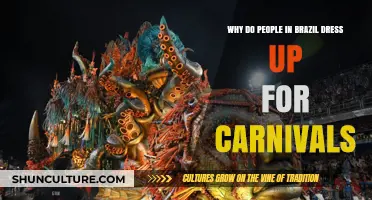 Brazil's Carnival Fashion: Unveiling the Cultural Significance of Dressing Up
