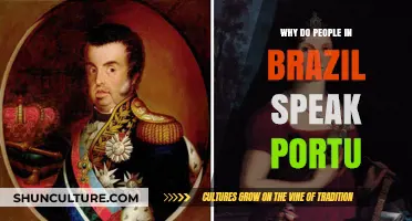 Why Do Brazilians Speak Portuguese? A Historical and Cultural Journey