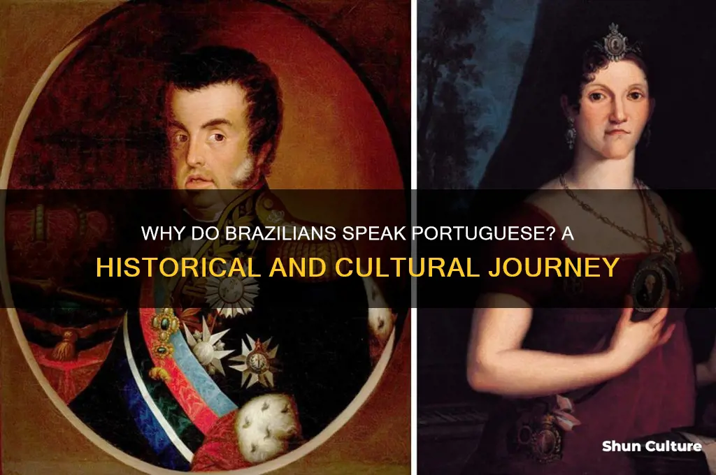 why do people in brazil speak portu