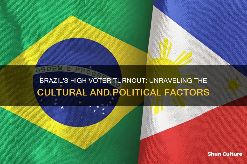 why do people in brazil vote more than the us