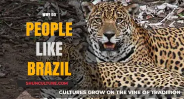 Why Brazil Captivates Hearts: Culture, Nature, and Joy Explored