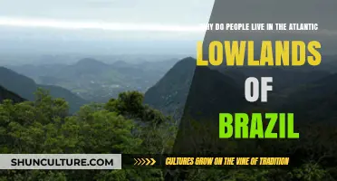 Exploring Brazil's Atlantic Lowlands: Reasons People Call This Region Home