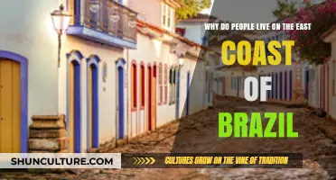 Exploring Brazil's East Coast: Climate, Culture, and Economic Opportunities