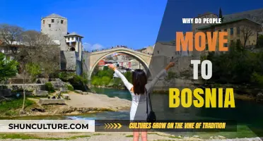 Discovering Bosnia: Reasons People Relocate to This Hidden Gem