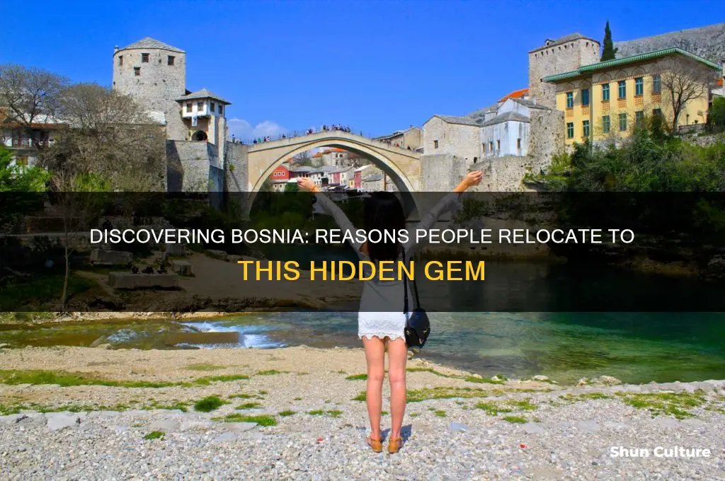 why do people move to bosnia