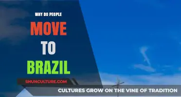 Exploring Brazil's Allure: Reasons People Relocate to This Vibrant Nation