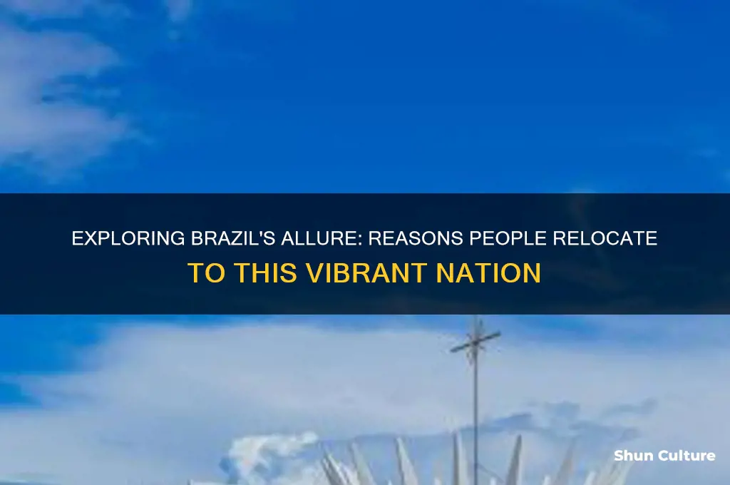 why do people move to brazil
