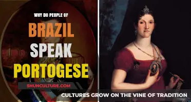 Why Brazil Speaks Portuguese: A Historical and Cultural Journey