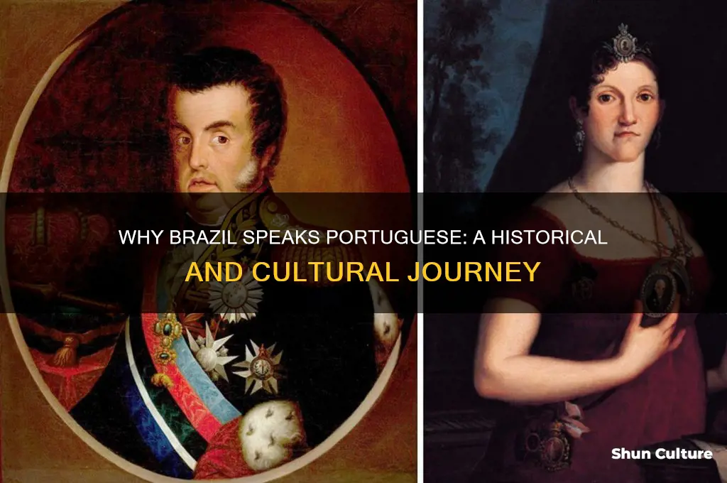 why do people of brazil speak portogese