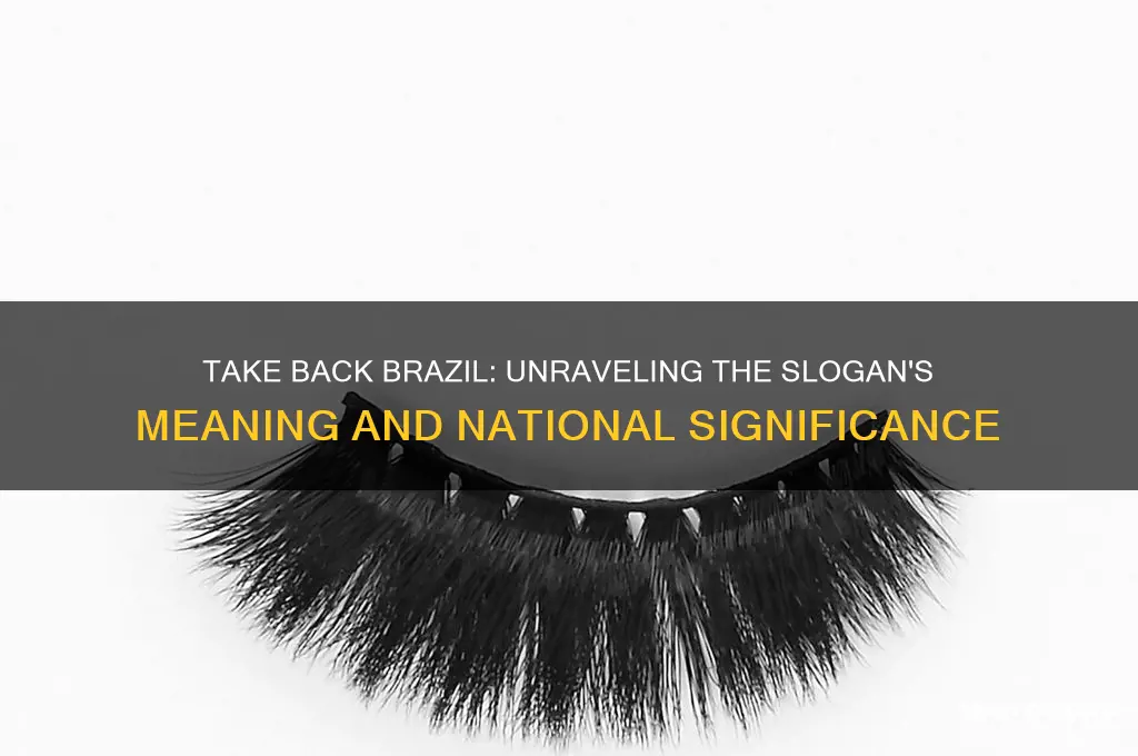 why do people say take back brazil